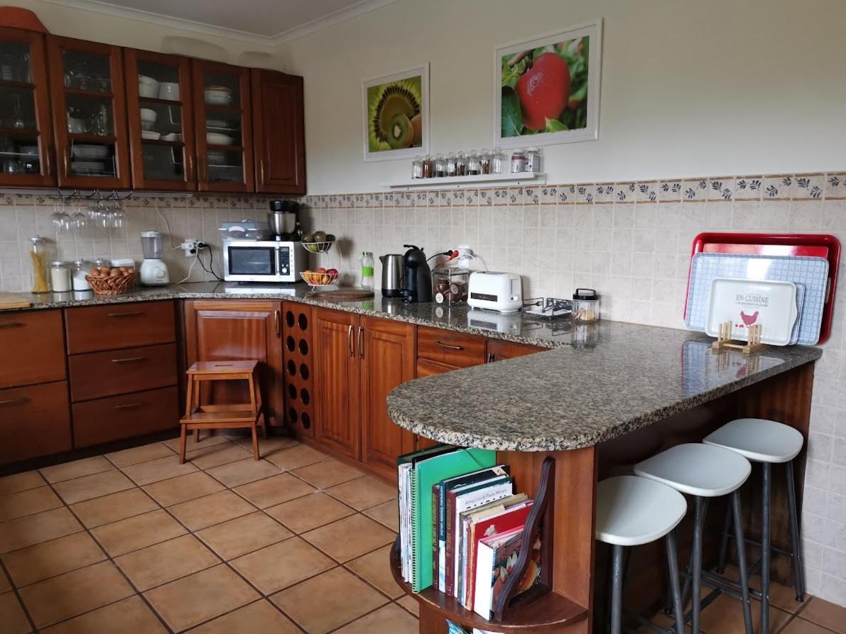 Casa Das Palmeiras Sao Vicente Ferreira Bagian luar foto