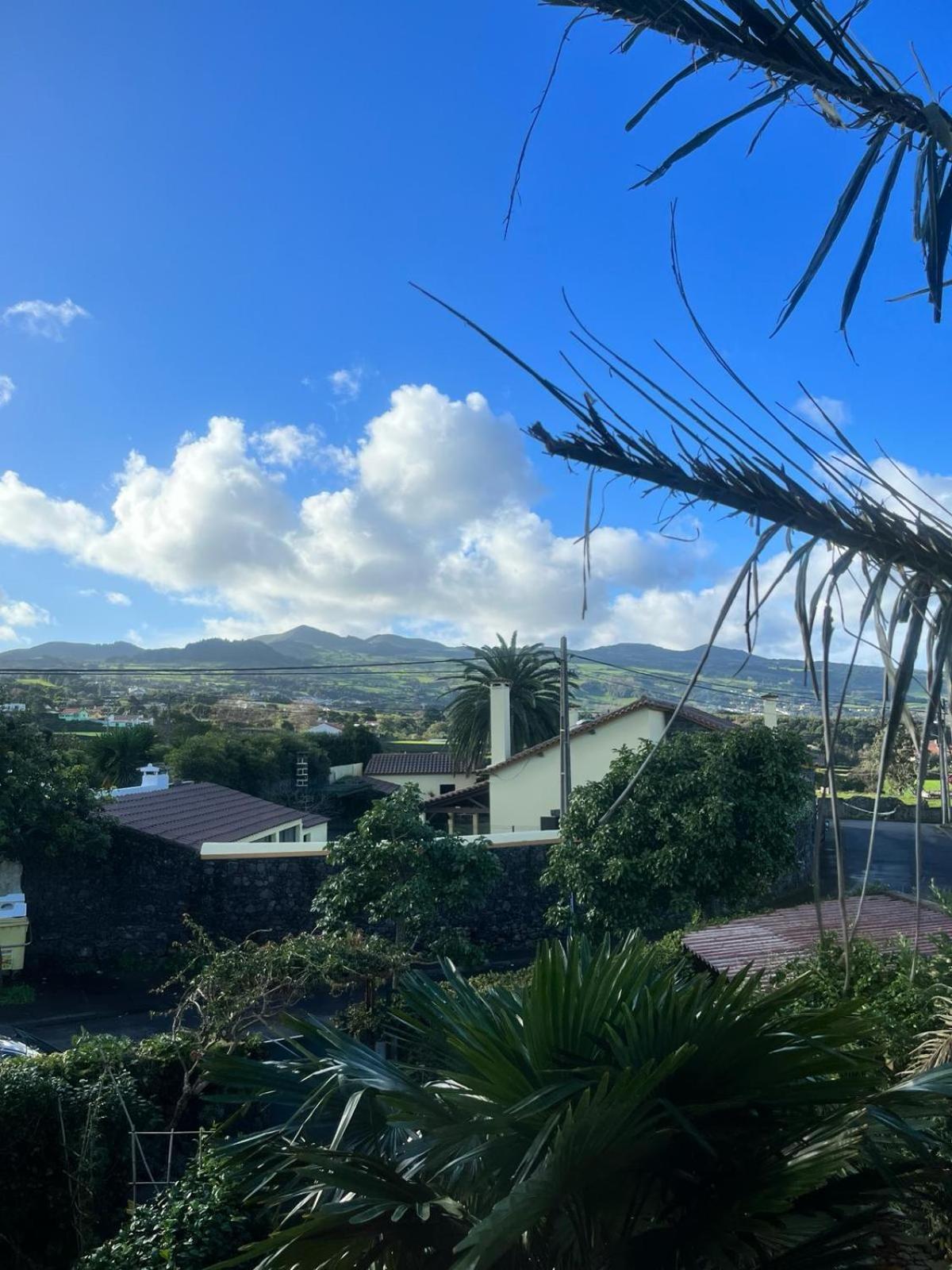 Casa Das Palmeiras Sao Vicente Ferreira Bagian luar foto