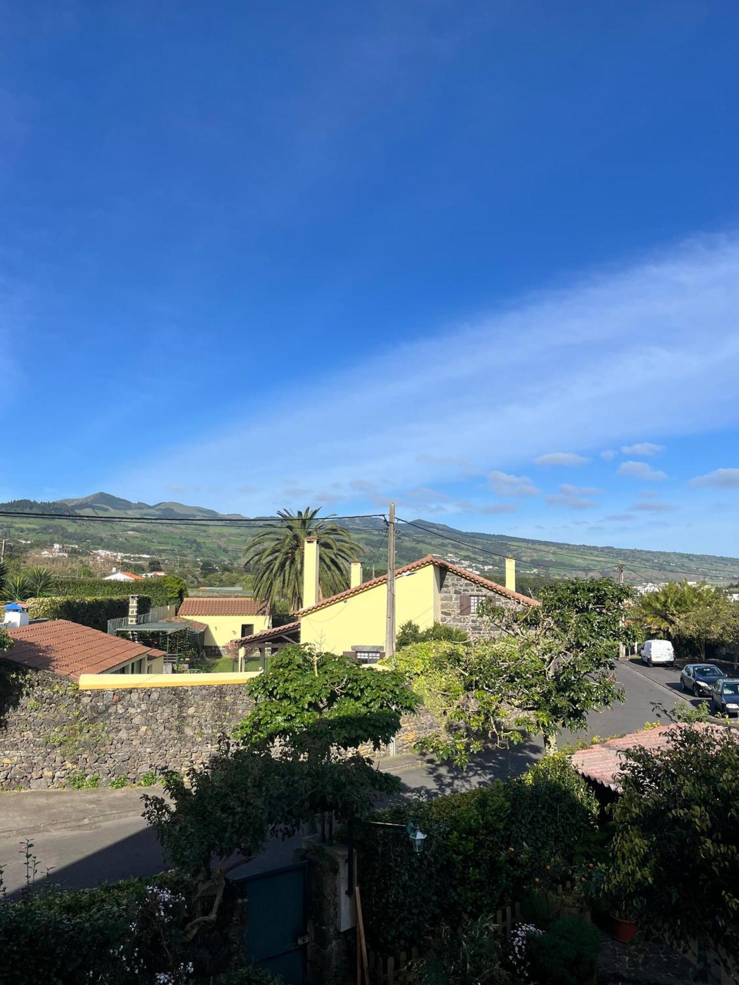 Casa Das Palmeiras Sao Vicente Ferreira Bagian luar foto
